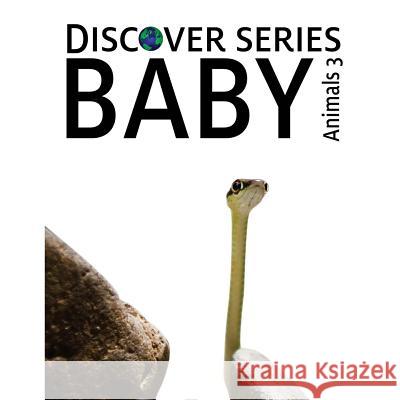 Baby Animals 3: Discover Series Picture Book for Children Xist Publishing 9781623950101 Xist Publishing - książka