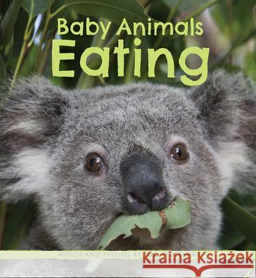 Baby Animals Eating Eszterhas 9781771473170 Owlkids - książka
