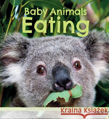 Baby Animals Eating Suzi Eszterhas 9781771475761 Owlkids - książka