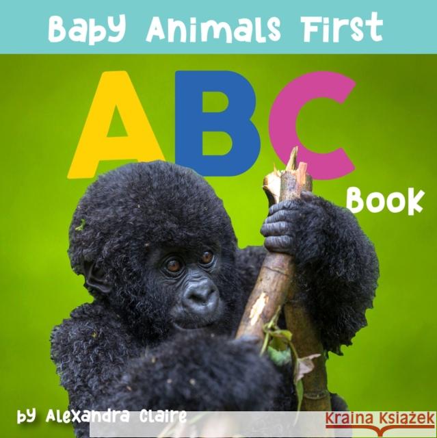 Baby Animals First ABC Book: Volume 2 Claire, Alexandra 9781951412005 Collective Book Studio - książka