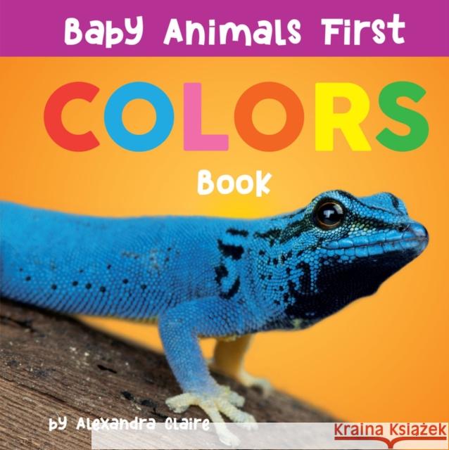 Baby Animals First Colors Book: Volume 3 Claire, Alexandra 9781951412487 Collective Book Studio - książka