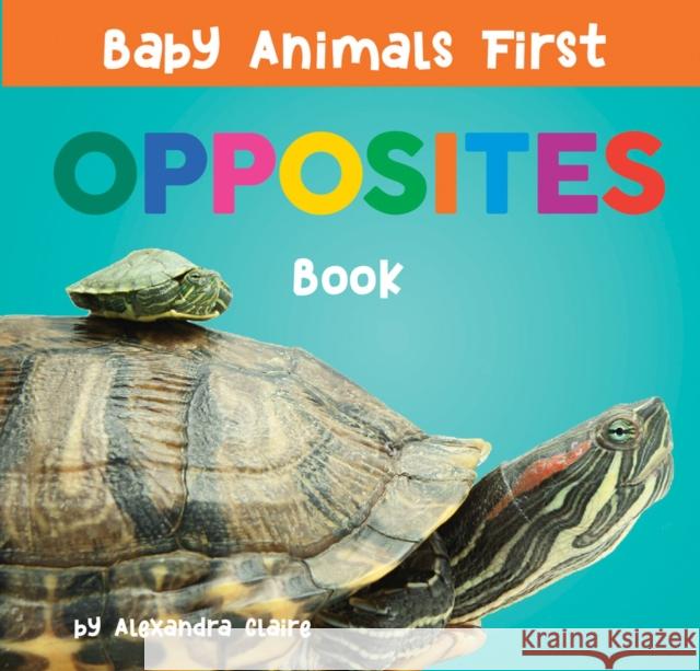 Baby Animals First Opposites Book Alexandra Claire 9781951412760 Collective Book Studio - książka