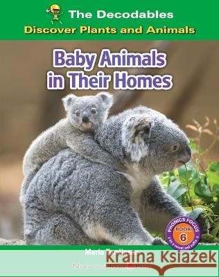 Baby Animals in Their Homes Marla Tomlinson 9781684049042 Norwood House Press - książka