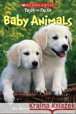Baby Animals (Scholastic True or False): Volume 1 Berger, Melvin 9780545003919 Scholastic Reference - książka