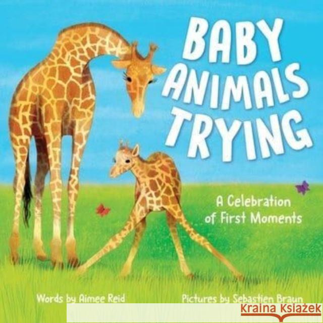 Baby Animals Trying: A Celebration of First Moments Aimee Reid 9781728275437 Sourcebooks, Inc - książka