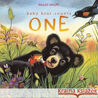 Baby Bear Counts One Ashley Wolff Ashley Wolff 9781442441583 Beach Lane Books - książka