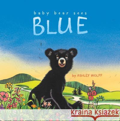 Baby Bear Sees Blue Ashley Wolff Ashley Wolff 9781442413061 Beach Lane Books - książka