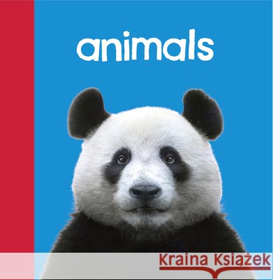 Baby Beginnings: Animals Paul Gardner Paul Gardner 9781945296345 Gardner Publishing - książka