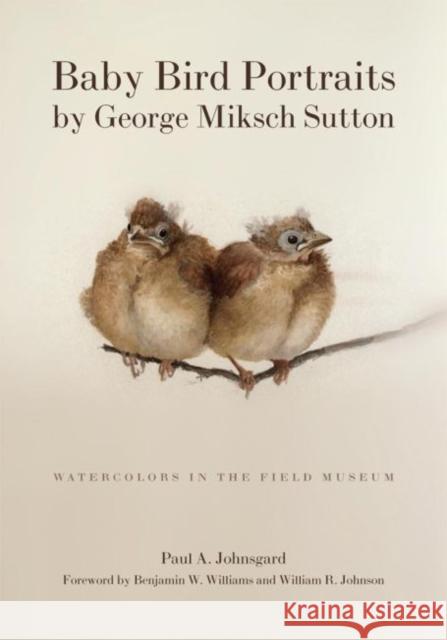 Baby Bird Portraits by George Miksch Sutton: Watercolors in the Field Museum Paul A. Johnsgard 9780806137698 University of Oklahoma Press - książka