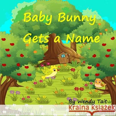 Baby Bunny Gets a Name Wendy Tait 9781708702076 Independently Published - książka