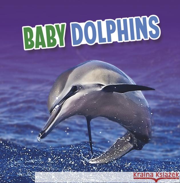 Baby Dolphins Martha E. H. Rustad 9781398223868 RAINTREE PAPERBACKS - książka