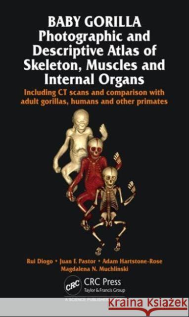 Baby Gorilla: Photographic and Descriptive Atlas of Skeleton, Muscles and Internal Organs Rui Diogo Josep M. Potau Juan F. Pastor 9781482232974 CRC Press - książka