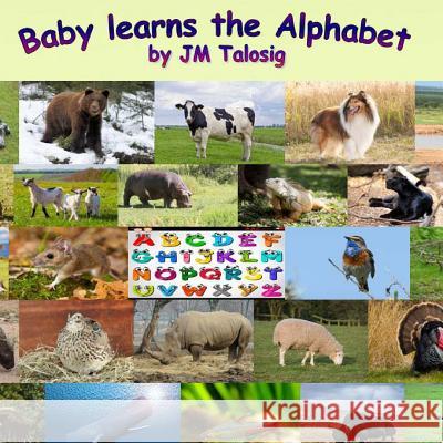Baby Learns the Alphabet Jm Talosig 9781499188974 Createspace - książka