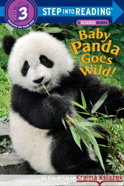 Baby Panda Goes Wild! David Salomon 9780525579168 Random House USA Inc - książka