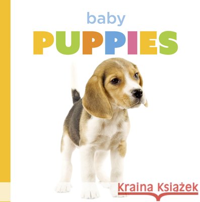 Baby Puppies Laura K. Murray 9781682779880 Creative Paperbacks - książka