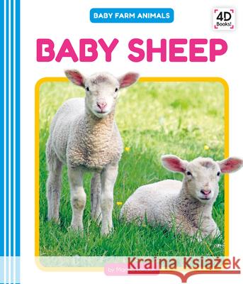 Baby Sheep Martha London 9781532167485 Pop! - książka