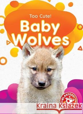 Baby Wolves Elizabeth Neuenfeldt 9781644876749 Blastoff! Beginners - książka