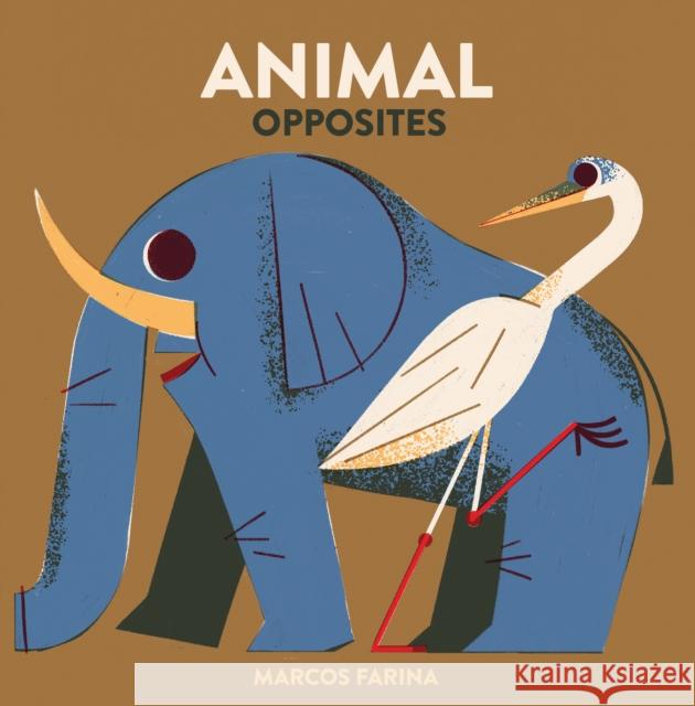 Babylink: Animal Opposites Marcos Farina 9781623718503 Crocodile Books - książka