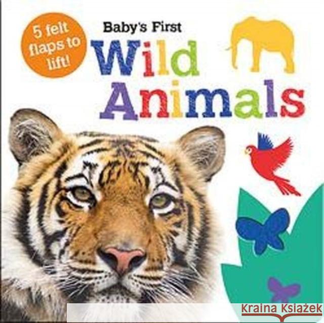 Baby's First Wild Animals Georgie Taylor 9781789589368 Imagine That Publishing Ltd - książka