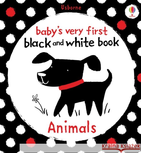 Baby's Very First Black and White Animals Fiona Watt 9781409523932 Usborne Publishing Ltd - książka