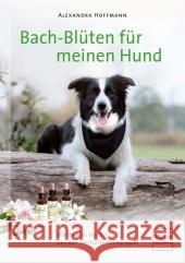 Bach-Blüten für meinen Hund : Wertvolle Helfer bei der Verhaltenstherapie Hoffmann, Alexandra 9783275019816 Müller Rüschlikon - książka