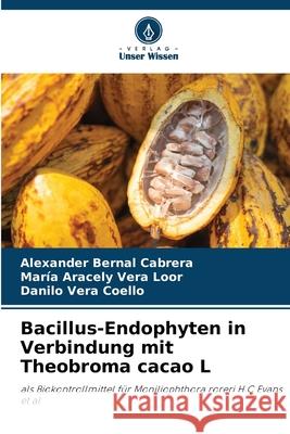 Bacillus-Endophyten in Verbindung mit Theobroma cacao L Bernal Cabrera, Alexander, Aracely Vera Loor, María, Vera Coello, Danilo 9786208921200 Verlag Unser Wissen - książka