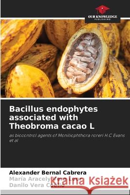 Bacillus endophytes associated with Theobroma cacao L Bernal Cabrera, Alexander, Aracely Vera Loor, María, Vera Coello, Danilo 9786208921217 Our Knowledge Publishing - książka