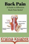 Back Pain: A Guide to Effective Back Pain Relief MR Dermot Farrell 9781545028292 Createspace Independent Publishing Platform