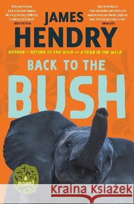 Back to the Bush James Hendry 9781770108295 Pan MacMillan - książka