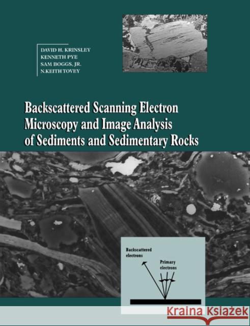 Backscattered Scanning Electron Microscopy and Image Analysis of Sediments and Sedimentary Rocks David H. Krinsley Kenneth Pye Sam, Jr. Boggs 9780521019743 Cambridge University Press - książka