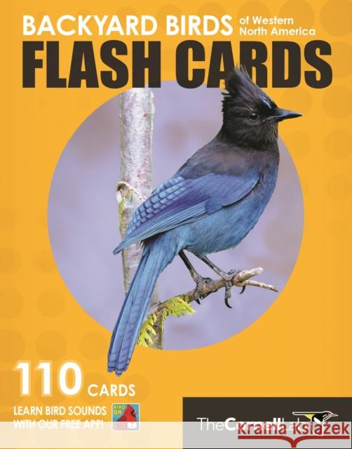 Backyard Birds Flash Cards - Western North America Cornell Lab of Ornithology 9780691194691 Princeton University Press/The Cornell Lab Pu - książka