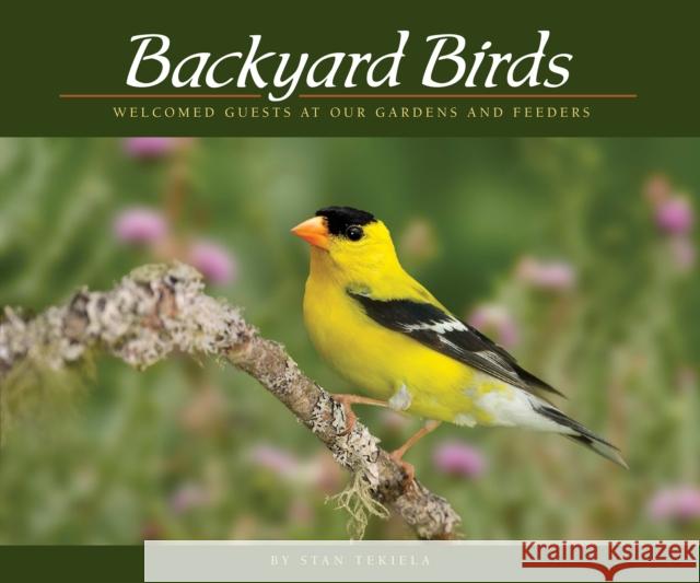 Backyard Birds: Welcomed Guests at Our Gardens and Feeders Stan Tekiela 9781591936411 Adventure Publications - książka