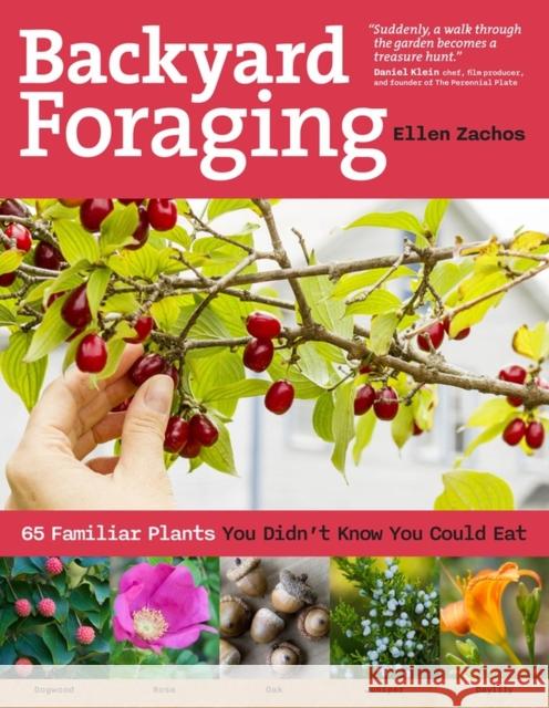 Backyard Foraging: 65 Familiar Plants You Didn't Know You Could Eat Ellen Zachos 9781612120096 Storey Publishing - książka
