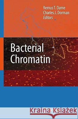 Bacterial Chromatin Remus T. Dame Charles J. Dorman 9789048134724 Springer - książka