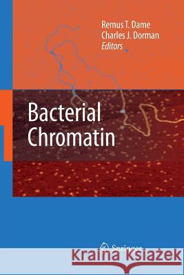 Bacterial Chromatin Remus T Dame Charles J Dorman  9789400790889 Springer - książka
