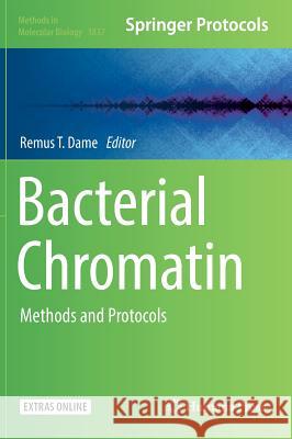 Bacterial Chromatin: Methods and Protocols Dame, Remus T. 9781493986743 Humana Press - książka