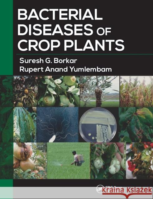 Bacterial Diseases of Crop Plants Rupert Anand Yumlembam 9781032097541 CRC Press - książka