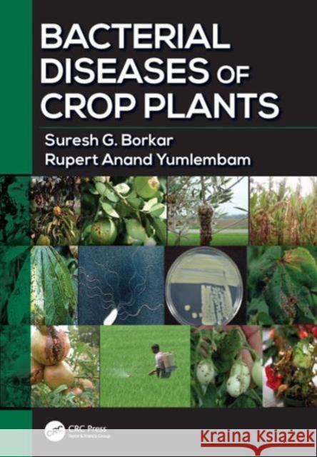 Bacterial Diseases of Crop Plants S. G. Borkar Suresh G. Borkar Rupert Anand Yumlembam 9781498755986 CRC Press - książka