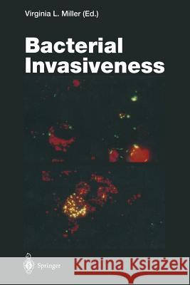 Bacterial Invasiveness Virginia L. Miller 9783642852183 Springer-Verlag Berlin and Heidelberg GmbH &  - książka