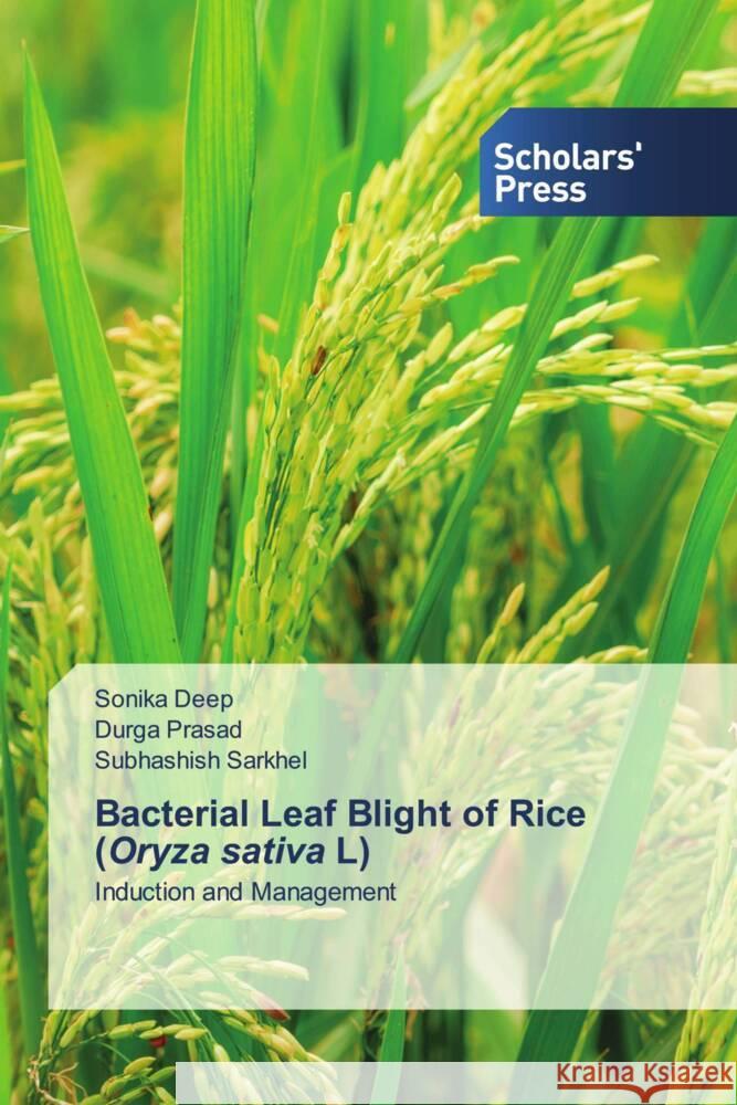 Bacterial Leaf Blight of Rice (Oryza sativa L) Deep, Sonika, Prasad, Durga, Sarkhel, Subhashish 9786206769279 Scholars' Press - książka