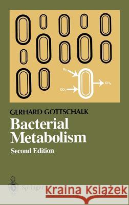 Bacterial Metabolism Gerhard Gottschalk Gottschalk                               G. Gottschalk 9780387961538 Springer - książka