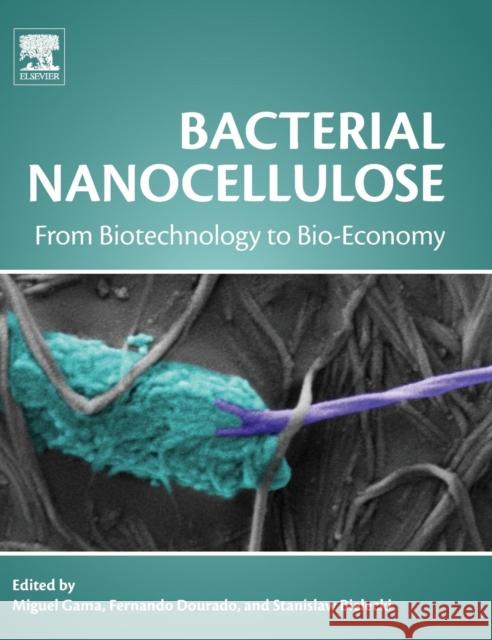 Bacterial Nanocellulose: From Biotechnology to Bio-Economy Gama, Francisco 9780444634580 Elsevier - książka