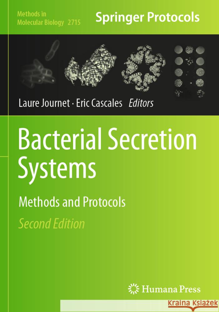 Bacterial Secretion Systems  9781071634479 Humana - książka