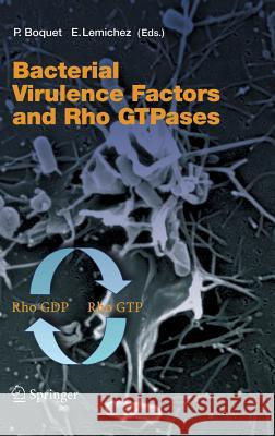 Bacterial Virulence Factors and Rho Gtpases Boquet, Patrice 9783540238652 Springer - książka