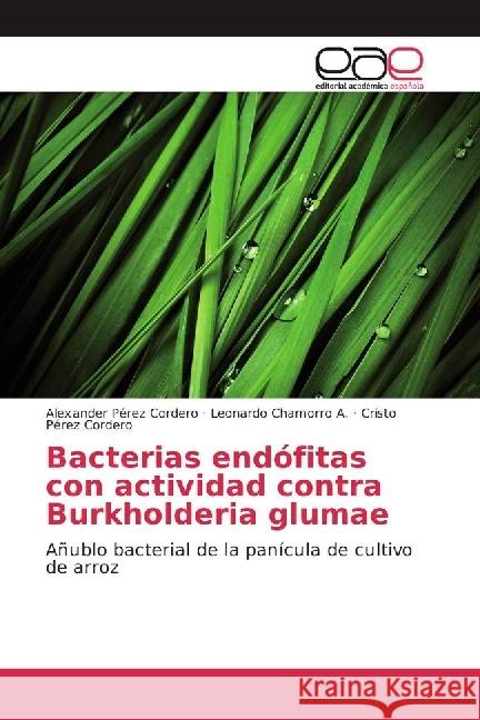 Bacterias endófitas con actividad contra Burkholderia glumae : Añublo bacterial de la panícula de cultivo de arroz Pérez Cordero, Alexander; Chamorro A., Leonardo; Pérez Cordero, Cristo 9783659658846 Editorial Académica Española - książka