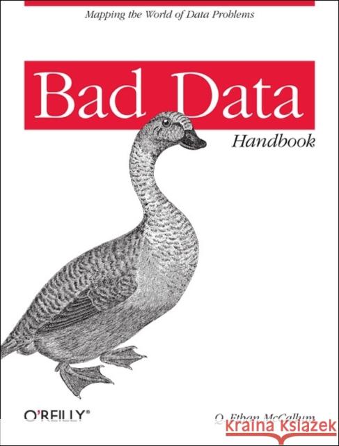 Bad Data Handbook: Cleaning Up the Data So You Can Get Back to Work McCallum, Q. Ethan 9781449321888  - książka