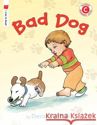 Bad Dog David McPhail David McPhail 9780823432981 Holiday House - książka