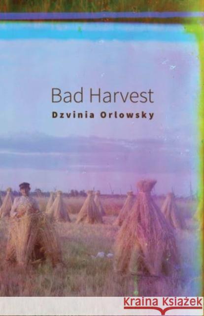 Bad Harvest Dzvinia Orlowsky 9780887486388 Carnegie-Mellon University Press - książka