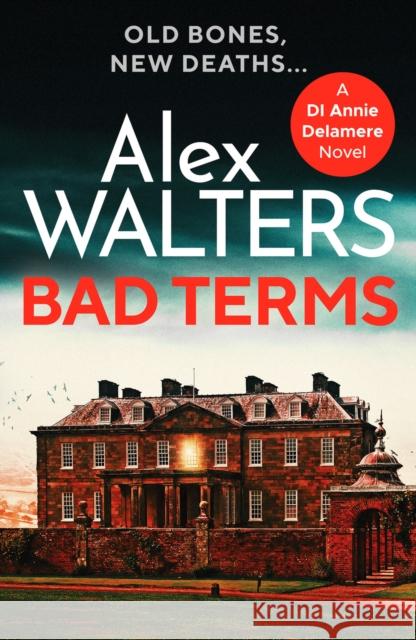 Bad Terms: A page-turning British detective crime thriller Alex Walters 9781800326408 Canelo - książka