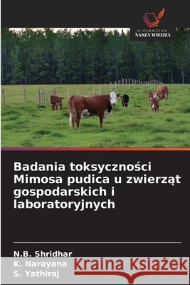 Badania toksycznosci Mimosa pudica u zwierzat gospodarskich i laboratoryjnych Shridhar, N.B., Narayana, K., Yathiraj, S. 9786209050183 Wydawnictwo Nasza Wiedza - książka